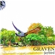 Graven - Jaybird